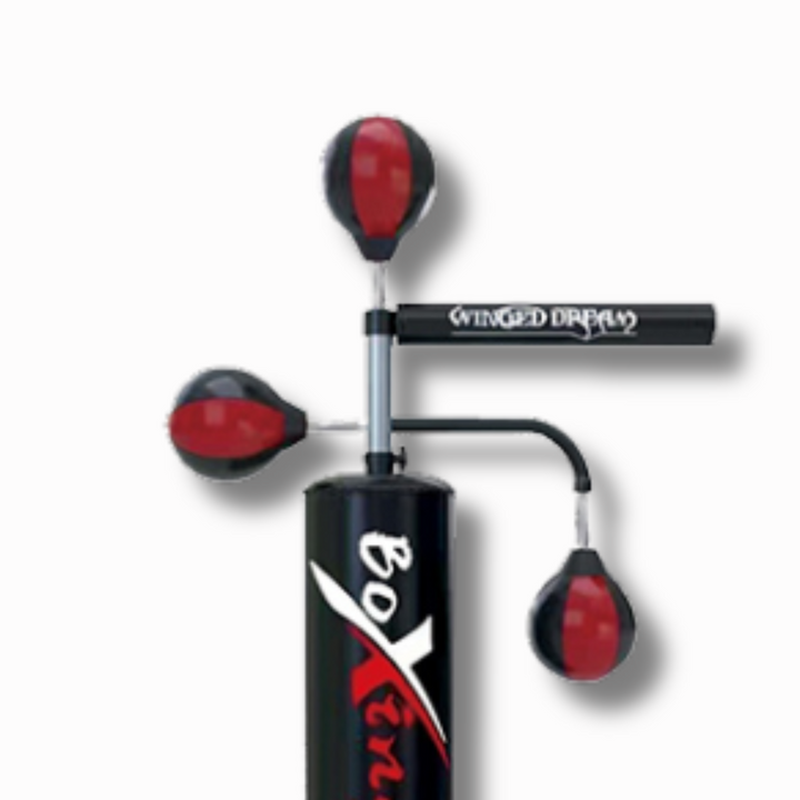 Thes Boxi Profesional